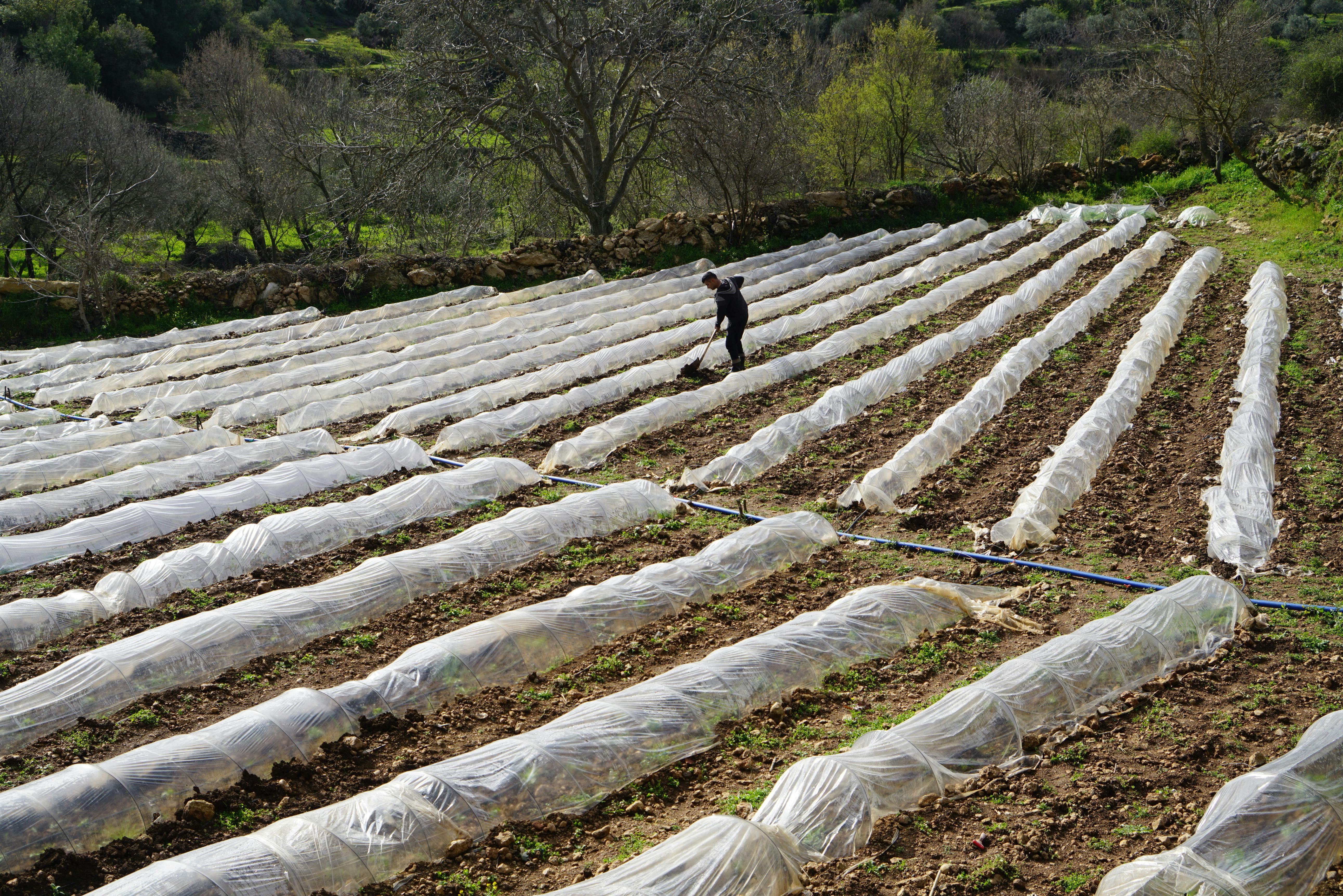 Biofarm background image