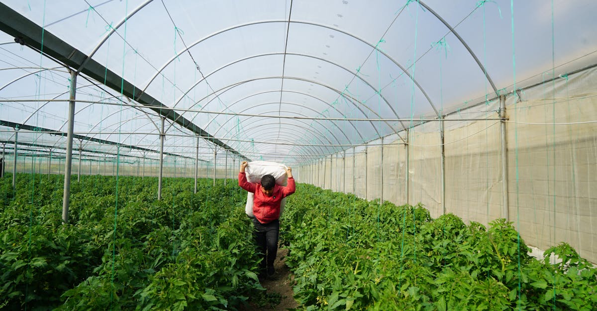 環境部首發綠生活行動指引 教全民實踐淨零轉型