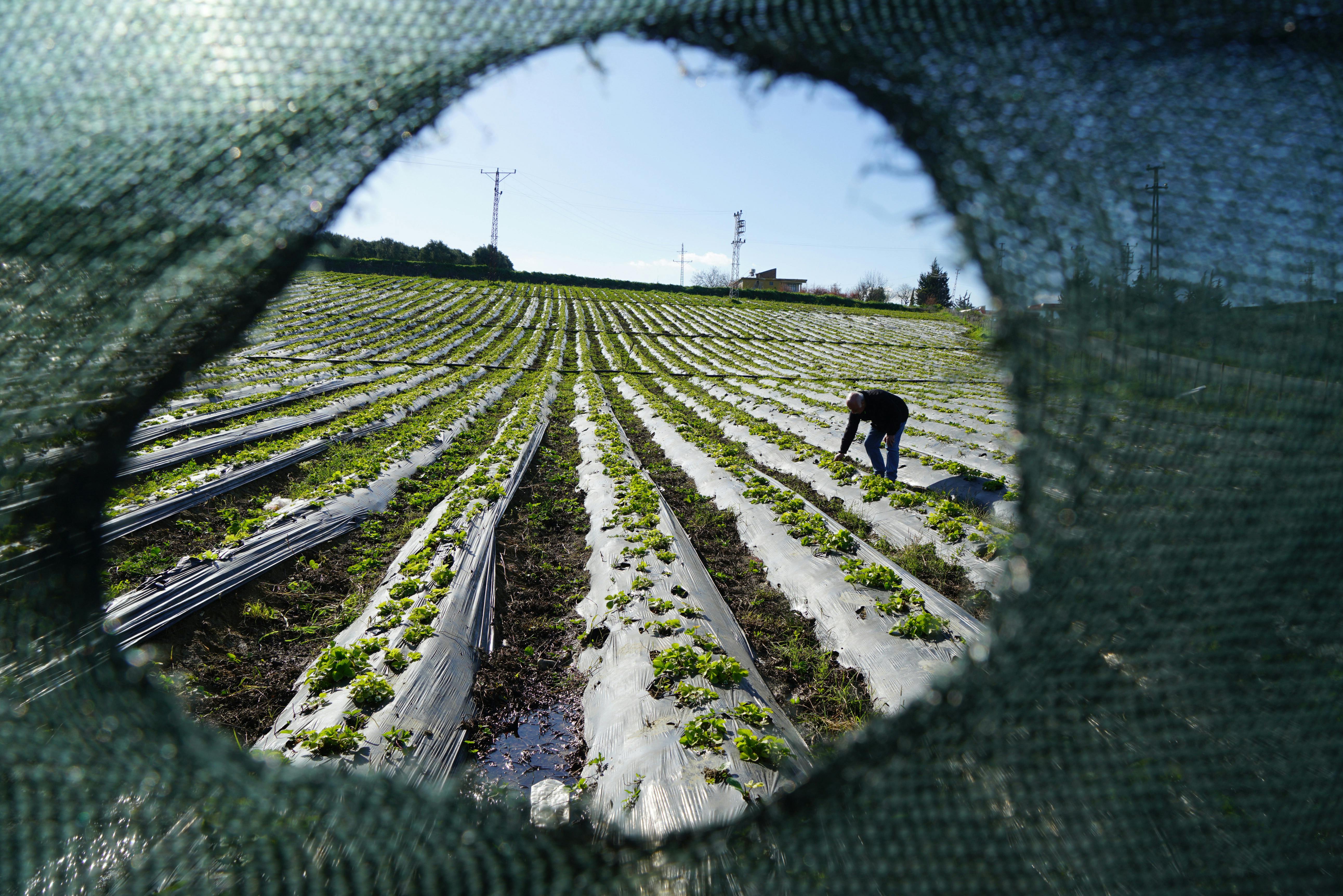 國際男性健康月 醫師呼籲早篩攝護腺癌降低治療難度
