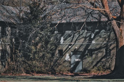 Guvernul a aprobat noi reglementări pentru Inspectoratul de Jandarmi Bihor