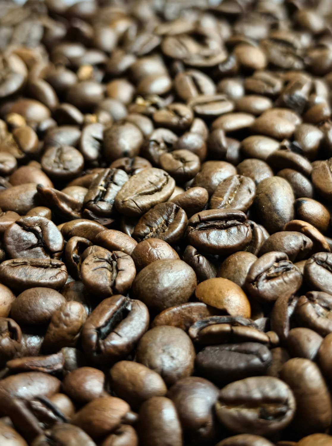 Close-up of Roasted Coffee Beans Texture · Free Stock Photo
