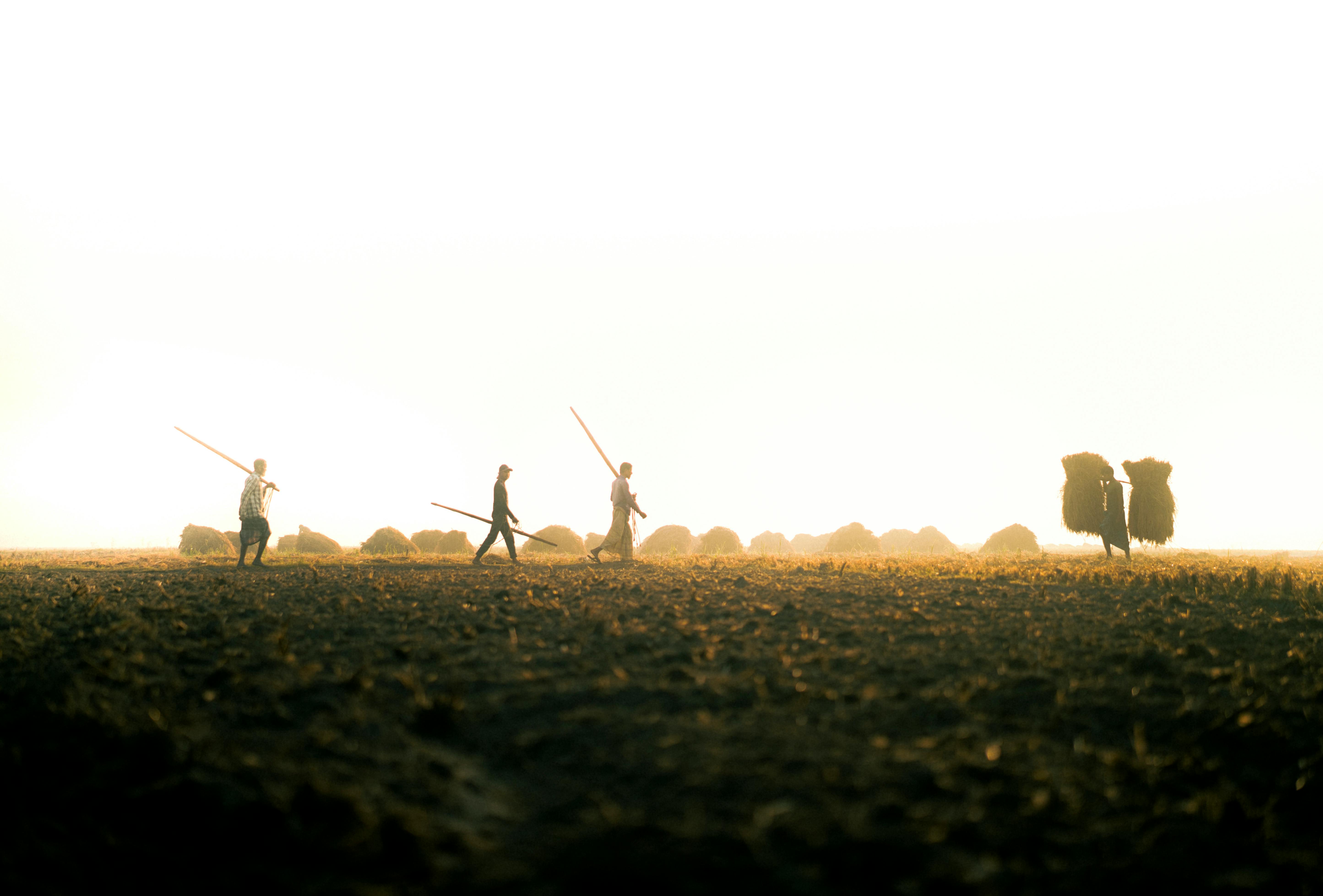 失業率創25年新低卻隱憂浮現！工時不足問題持續攀升，部分族群生