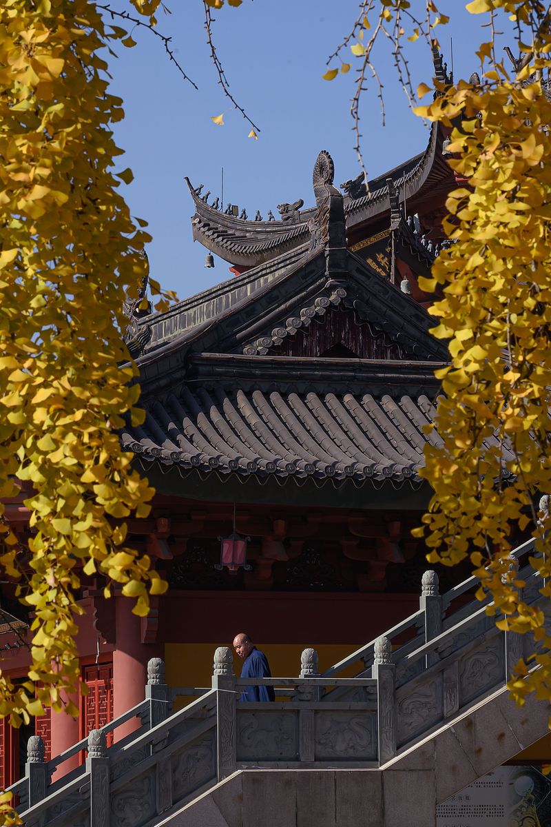 海风 张
