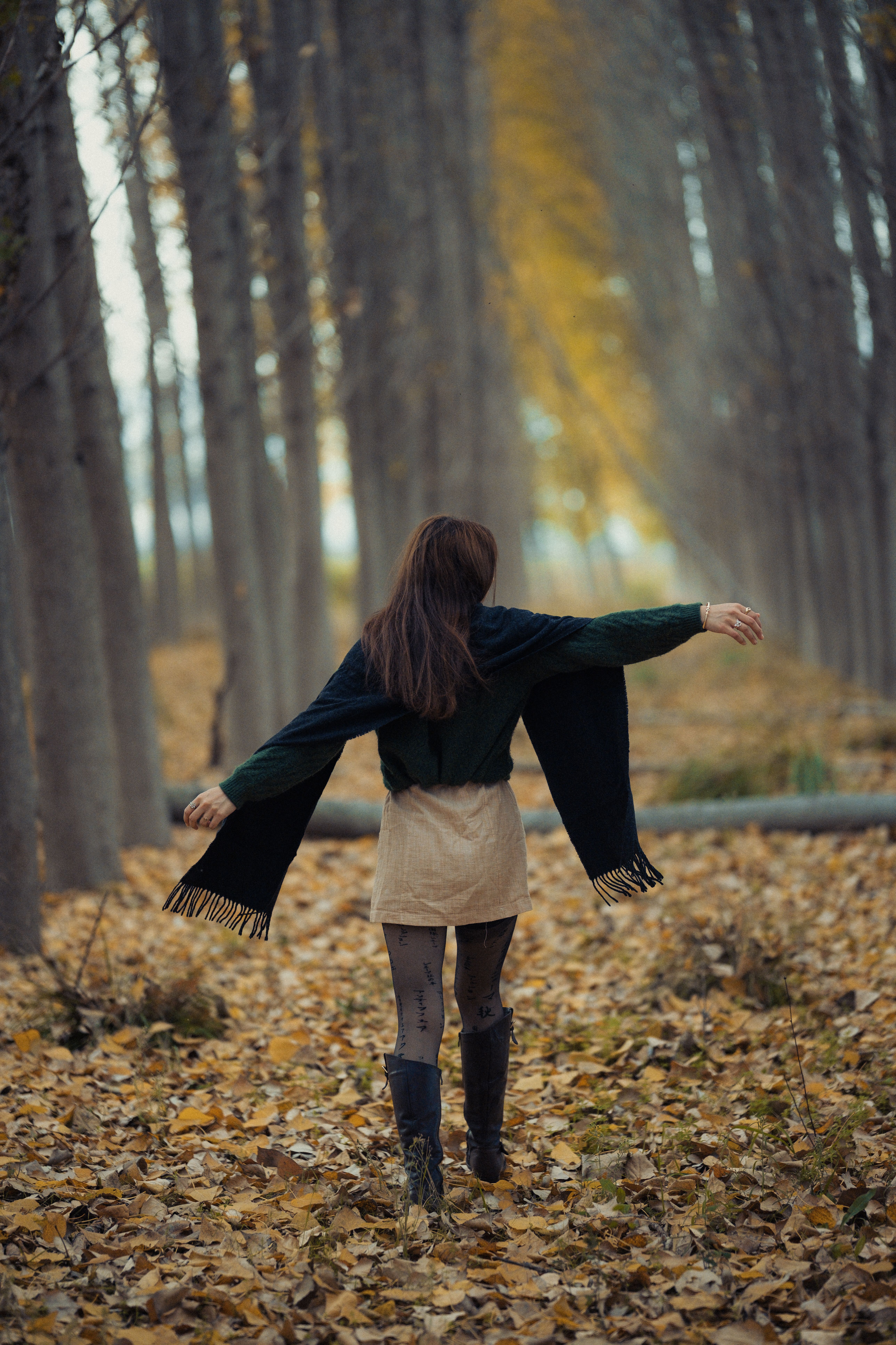 Woman in Autumn Forest with Falling Leaves · Free Stock Photo