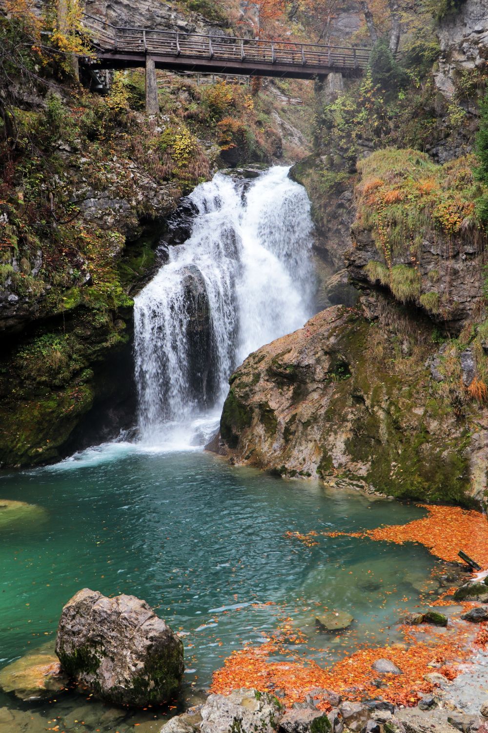Cascadă în pădurea din zona Bled, Slovenia