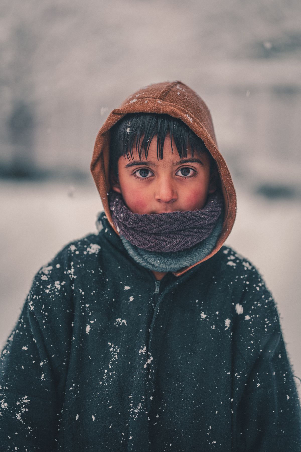 Winter Support Kit representative visual