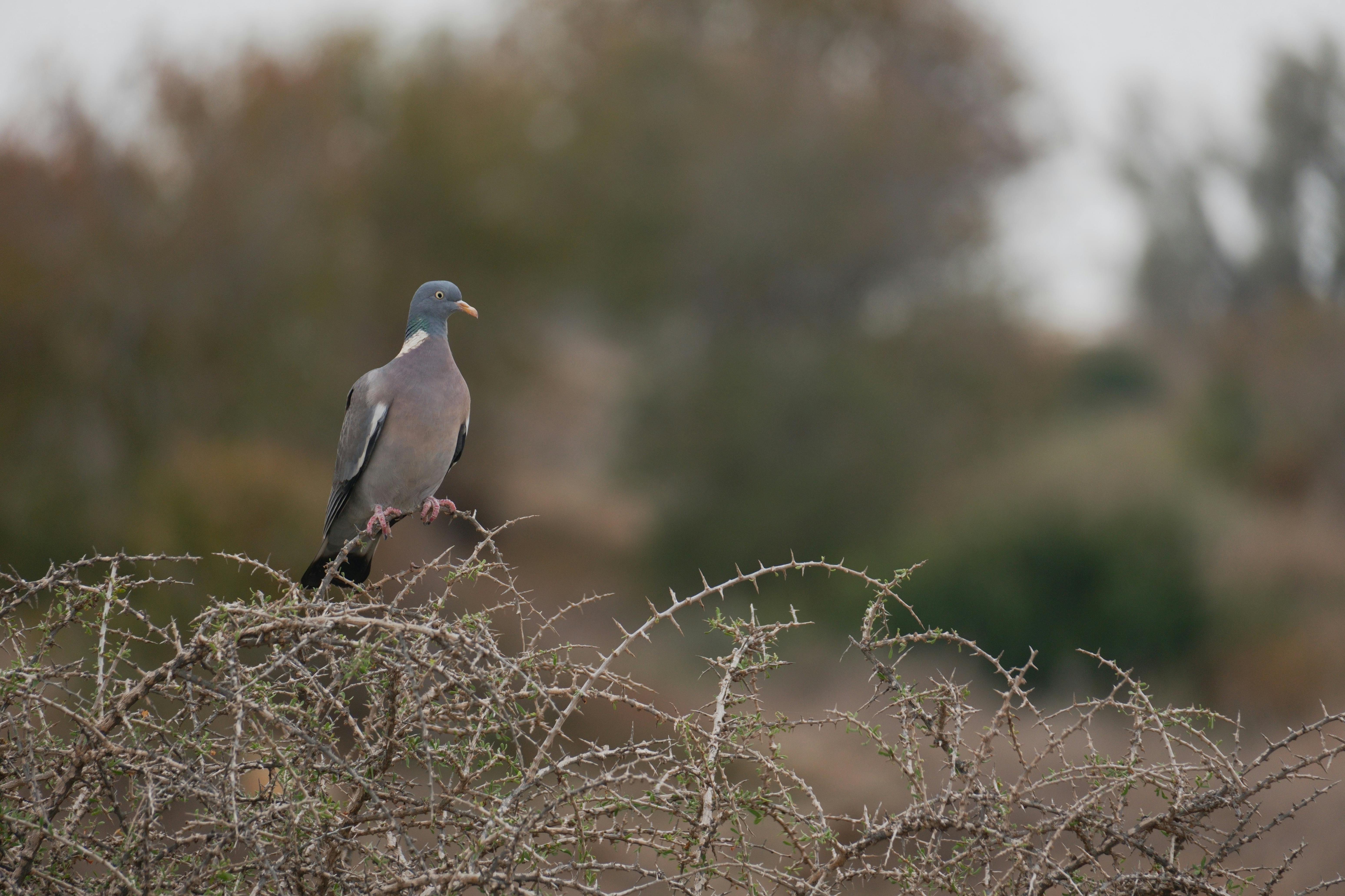 財經：中航雙題材加持 股價逆勢走高引市場關注