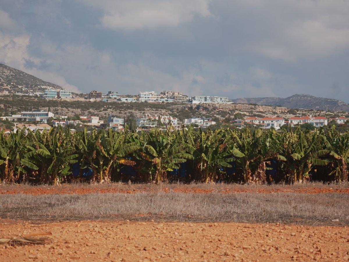 8 Day beachfront Vinyasa, Yin Holiday in Costa Tropical Andalucia 3