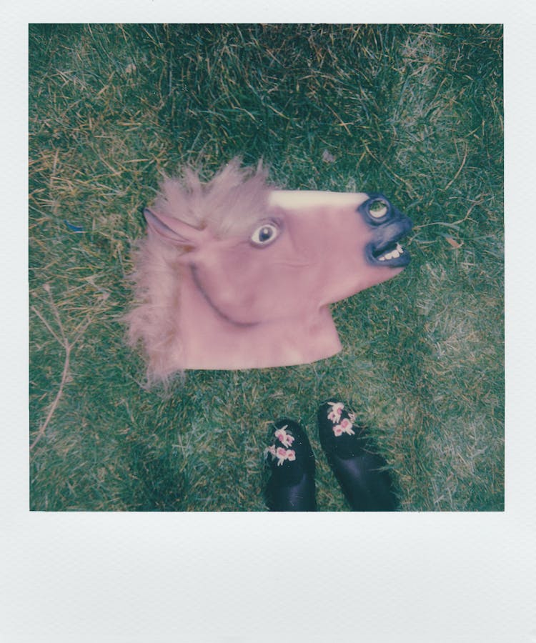 Brown Horse Mask On Green Grass