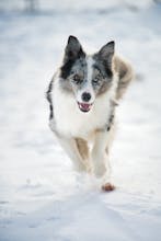 Hafta Ortası Motivasyonumu Kaybettim: Mini Kaçamaklar Hafta Ortası Motivasyonumu Kaybettim: Mini Kaçamaklar