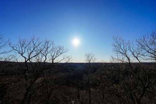 Free Bright winter sun shines over a forest with bare trees and clear blue sky. Stock Photo