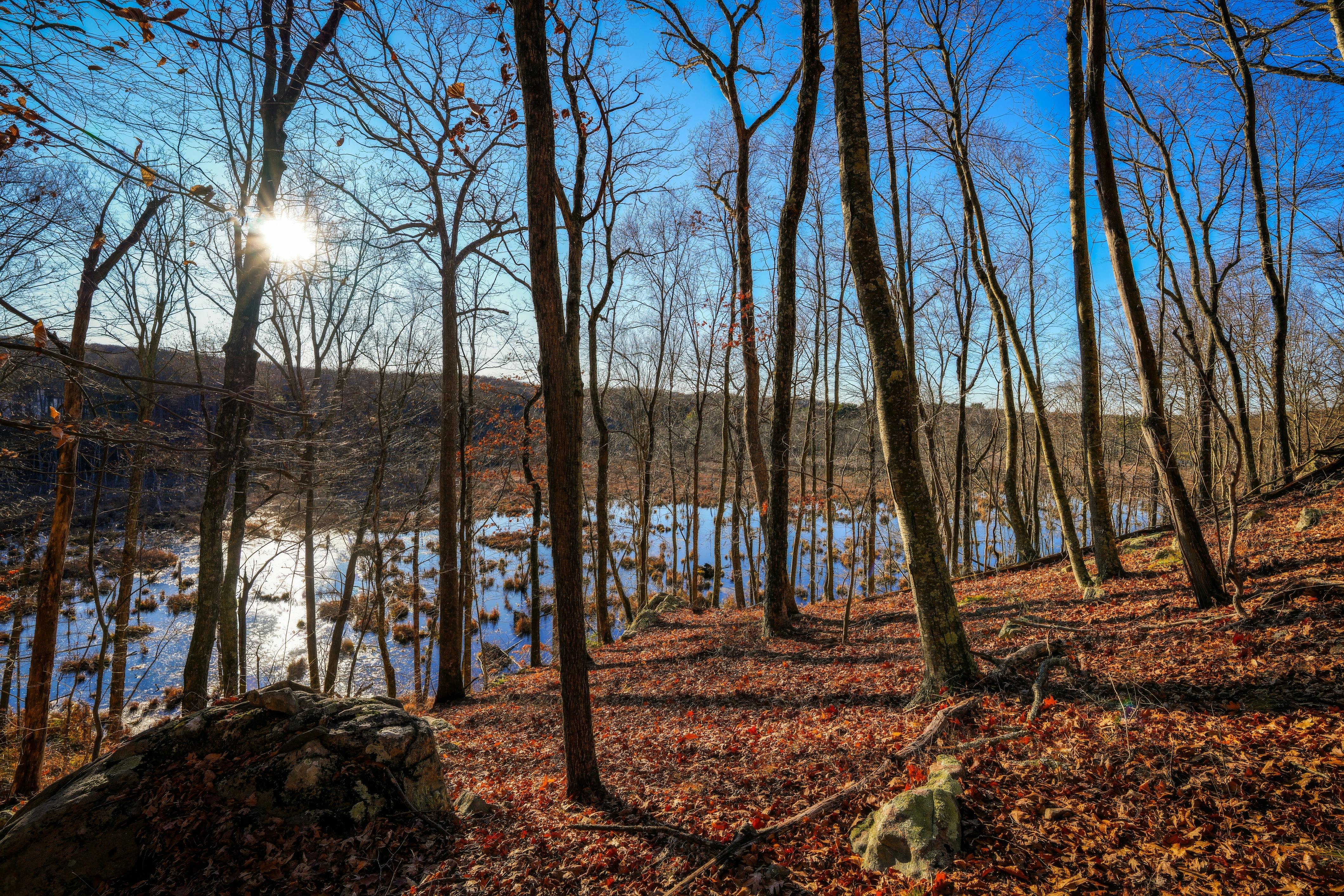 教宗訪黎巴嫩 呼籲政治領袖放下分歧促和平