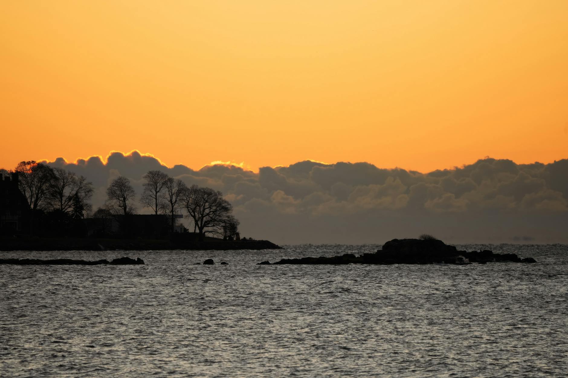 A tranquil seaside view during sunset with silhouetted trees against an orange sky.