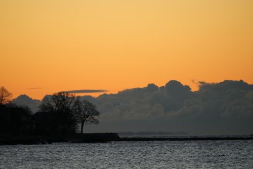 Free Serene view of silhouetted trees by the sea during a vibrant sunset. Stock Photo