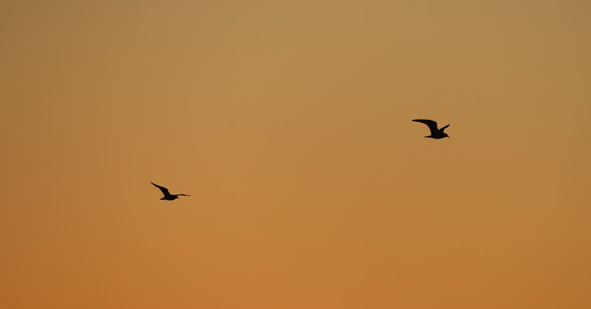 教宗訪黎巴嫩 呼籲政治領袖放下分歧促和平