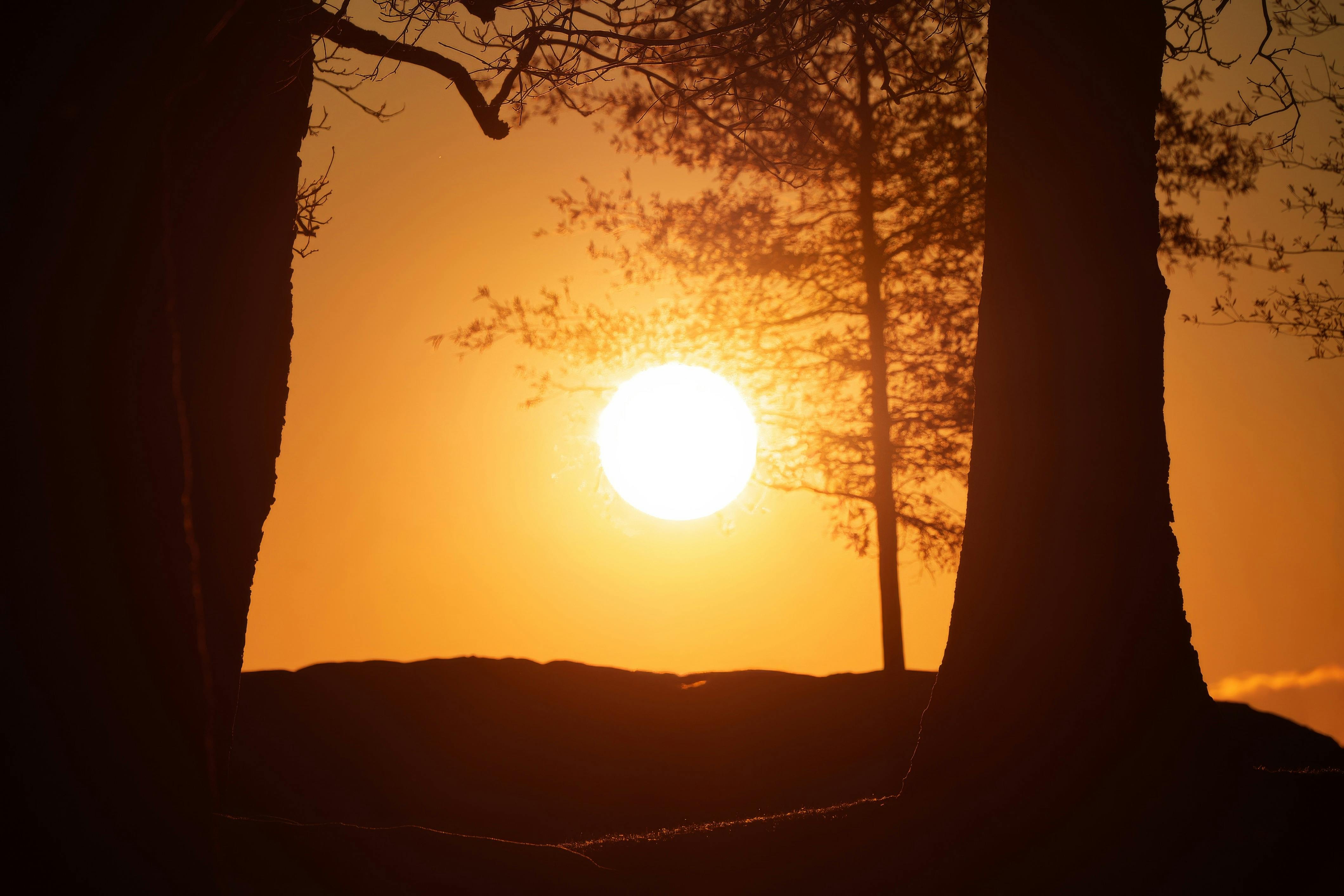 財經：中航雙題材加持 股價逆勢走高引市場關注