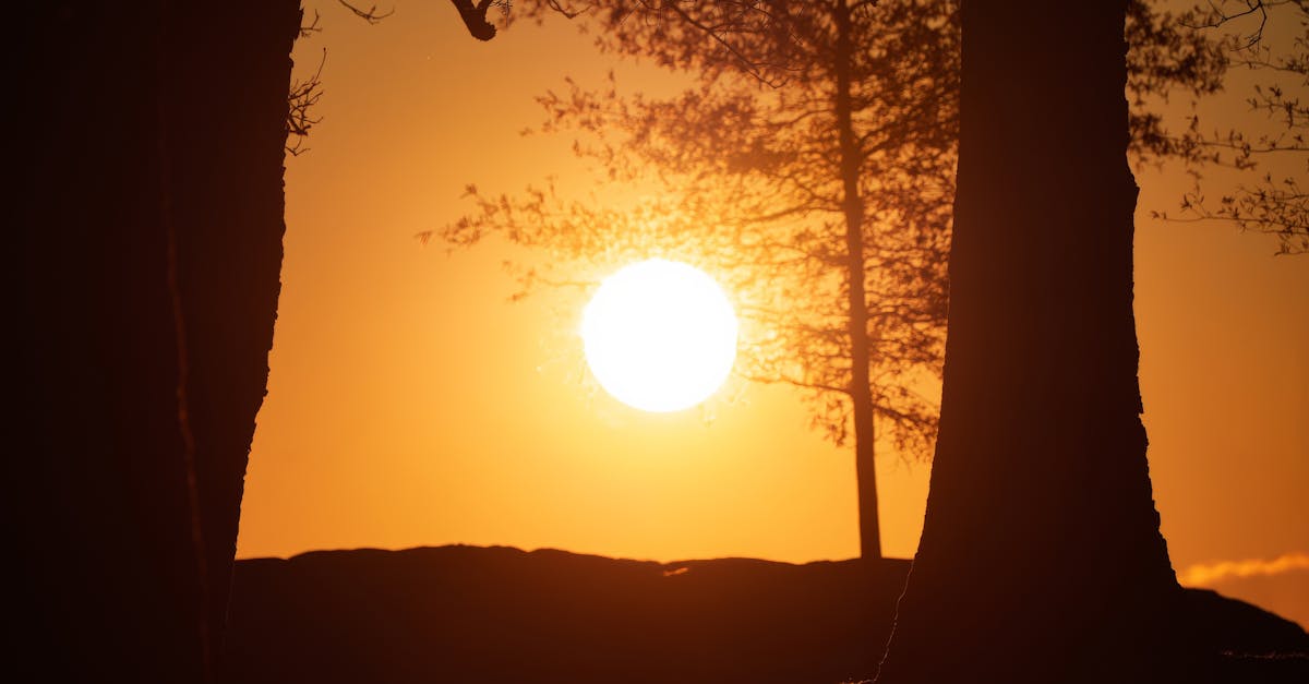 財經:中航雙題材加持 股價逆勢走高引市場關注