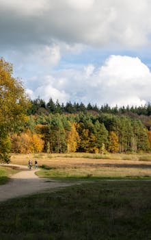 Scenic autumn view of a park in Rhenen, Netherlands with trees in fall colors under a cloudy sky.