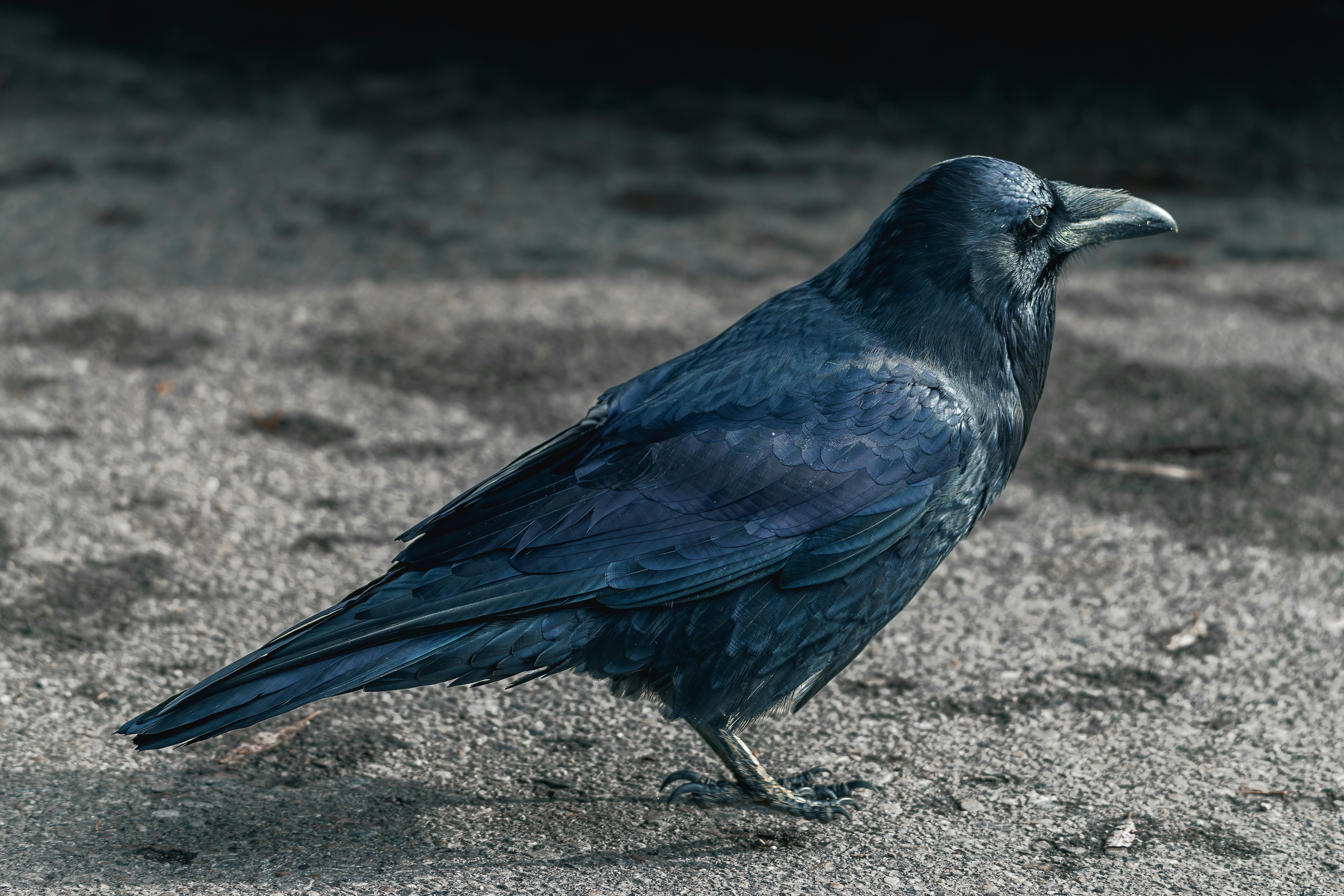 Overview of Alien Signals Detected: What We Know so Far