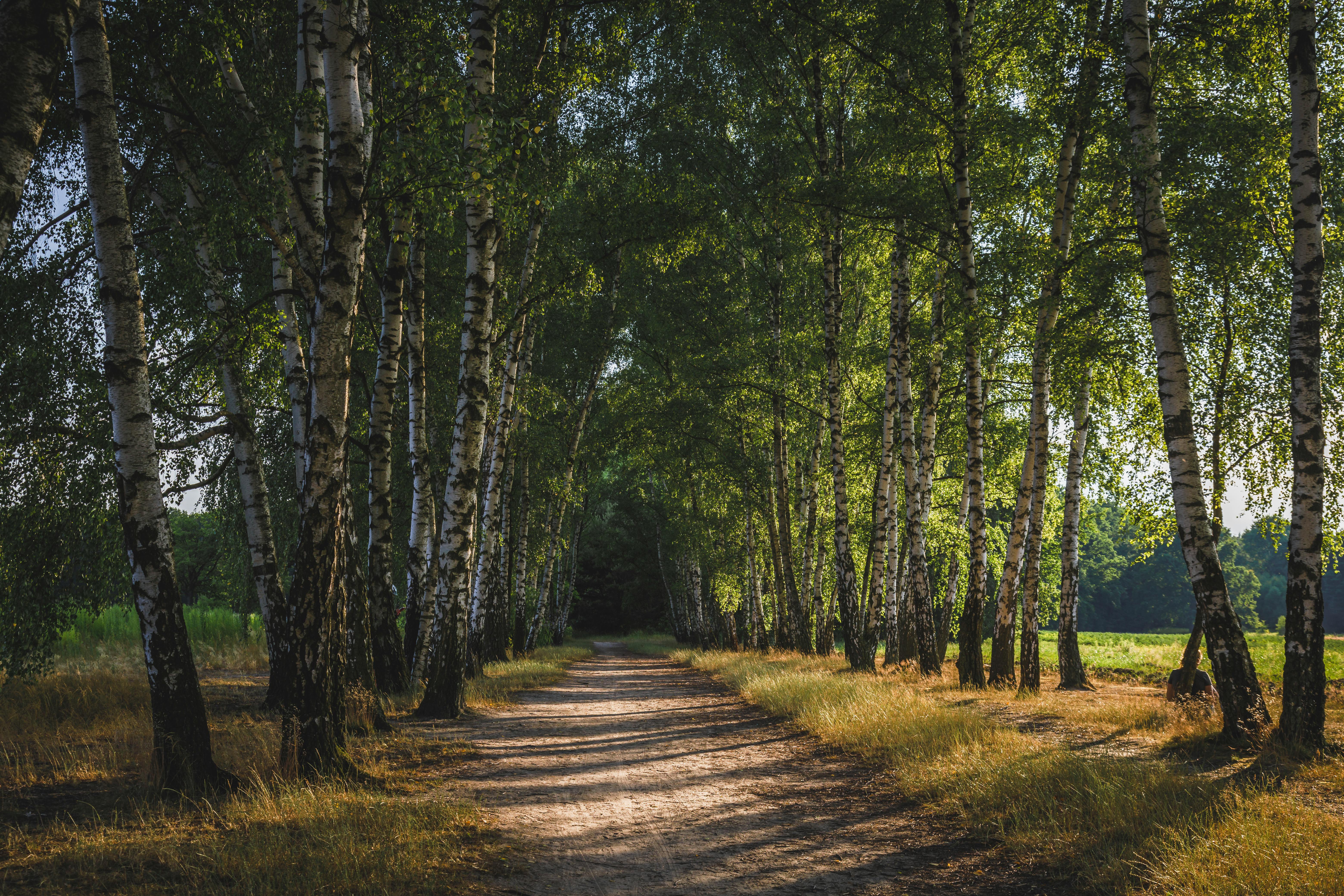 Healthspan White Paper: The Data-Driven Path to Longevity — Photo by Serhii Barkanov on Pexels
