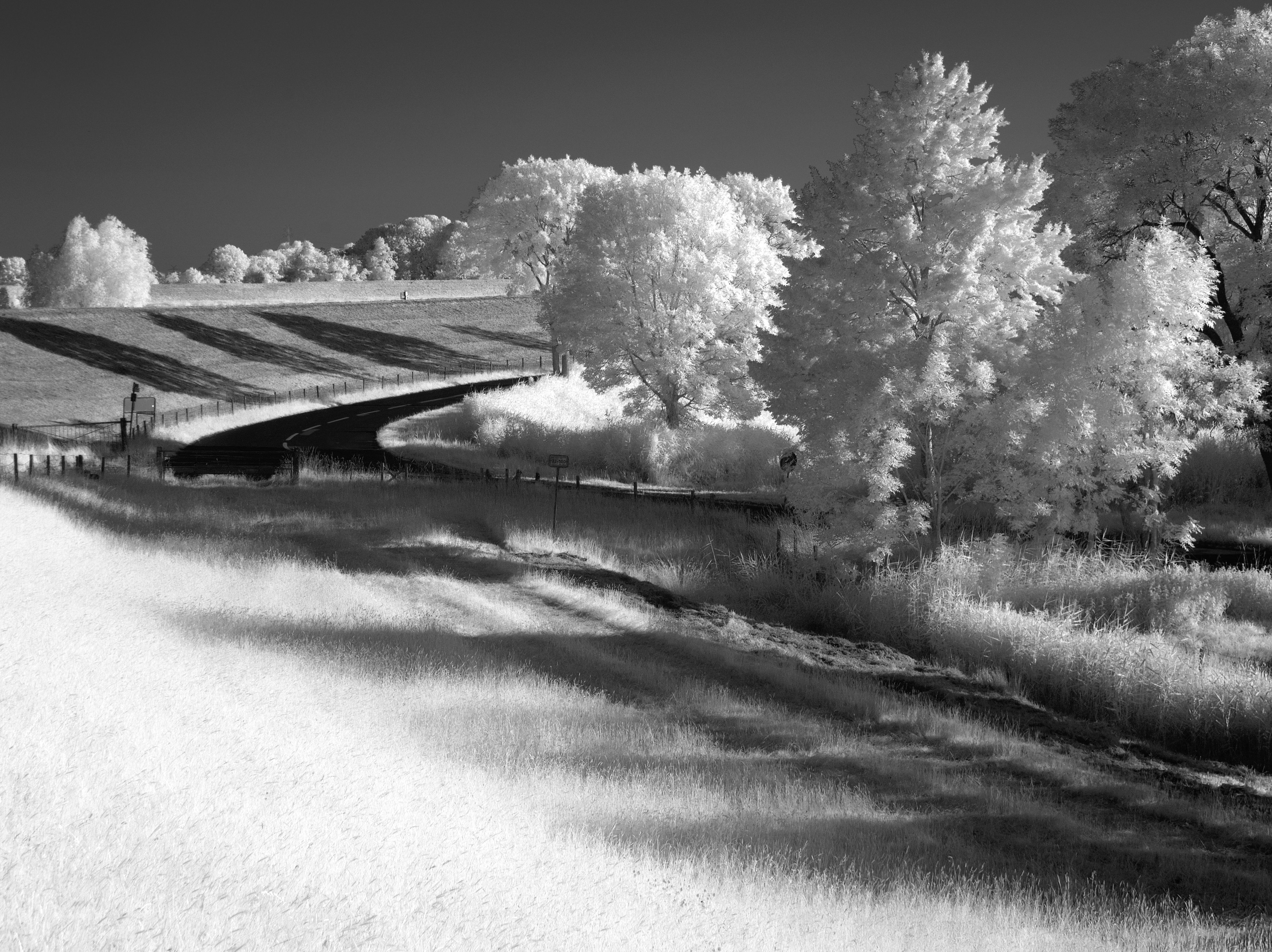 Black and white infrared photograph of rural landscape and winding road in Weener, Germany.