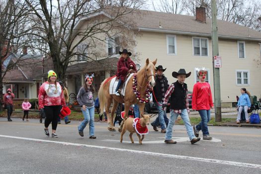 Logo of Enderby’s Christmas Light-Up & Parade Walkers