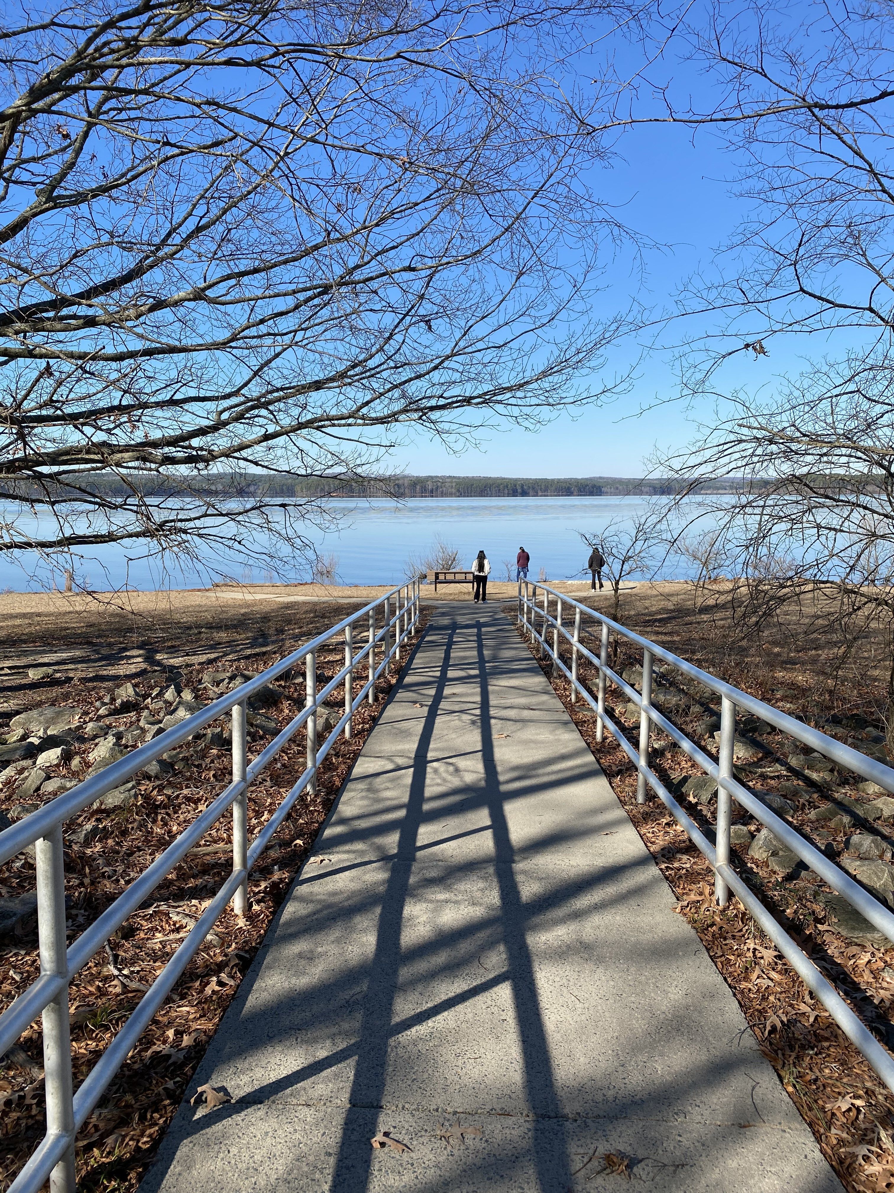 Scenic Pathway to Lake on a Clear Winter Day · Free Stock Photo