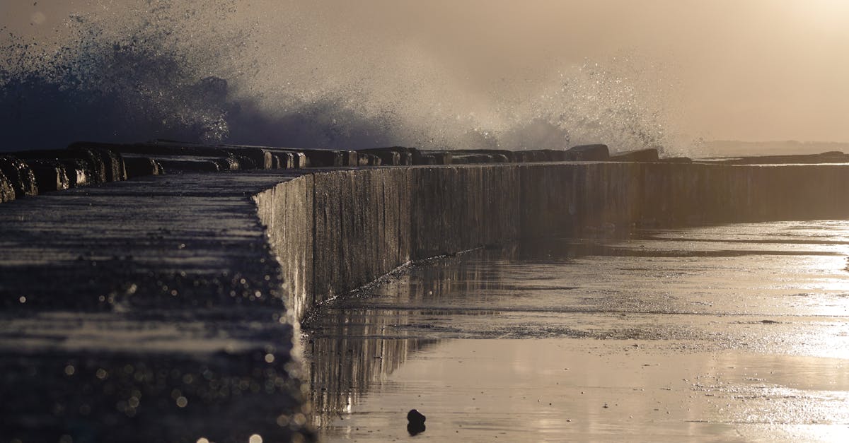 政治:高雄綠營初選提前升溫 英蘇連線硬撼新系對決完美風暴