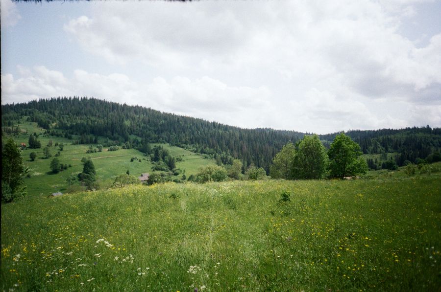 Rozkvetlá horská louka a zalesněné kopce s roztroušenými staveními