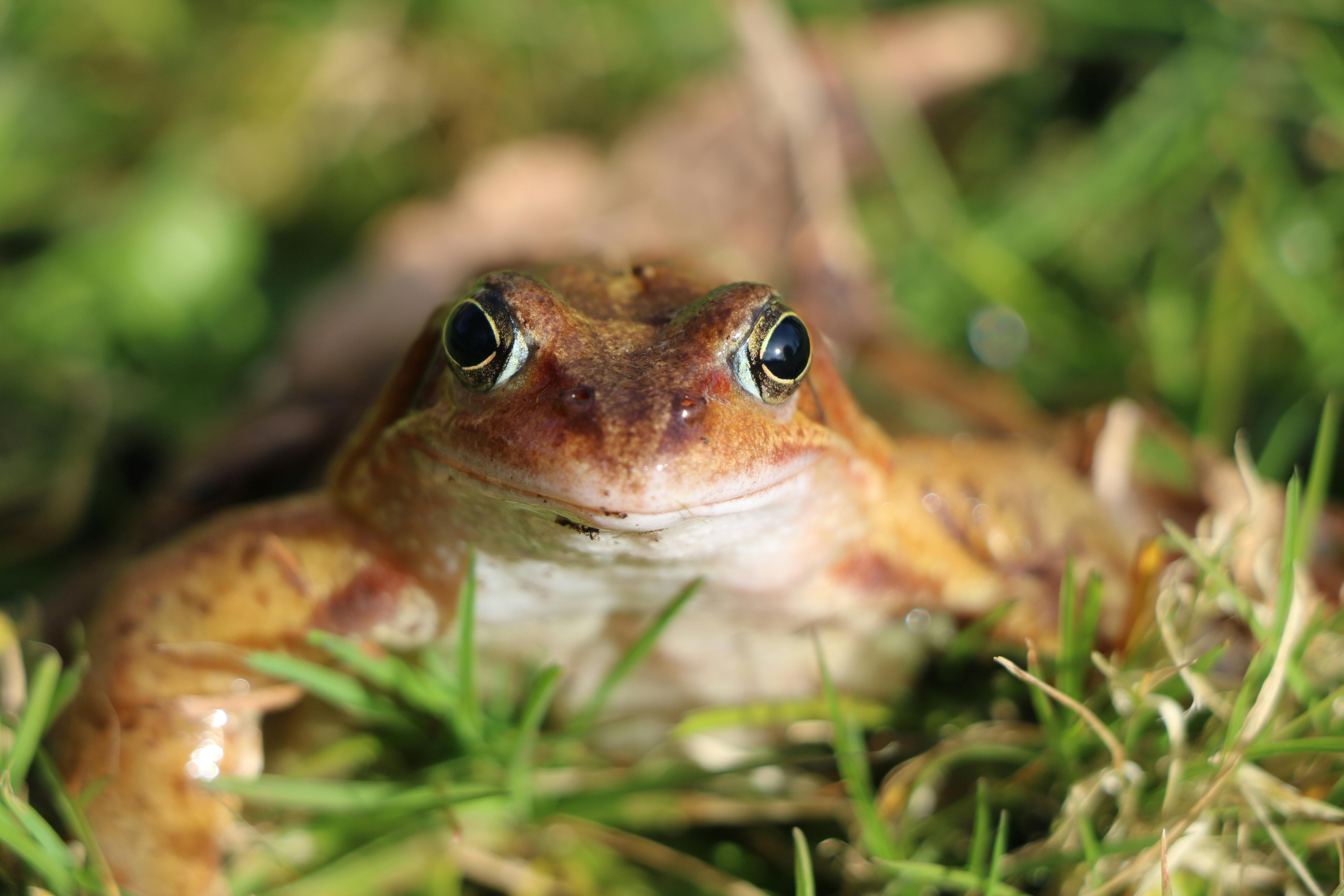 Microcontato com a natureza