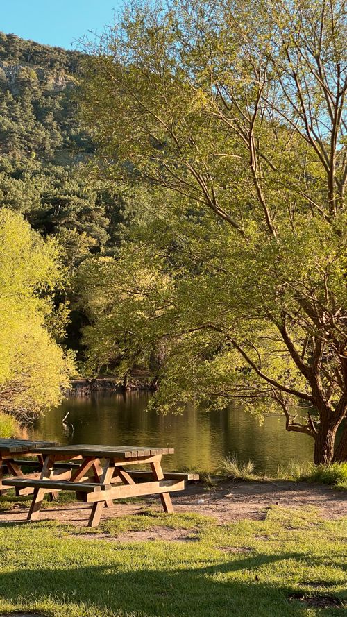 Free Peaceful lakeside view with picnic tables surrounded by lush trees and greenery. Stock Photo