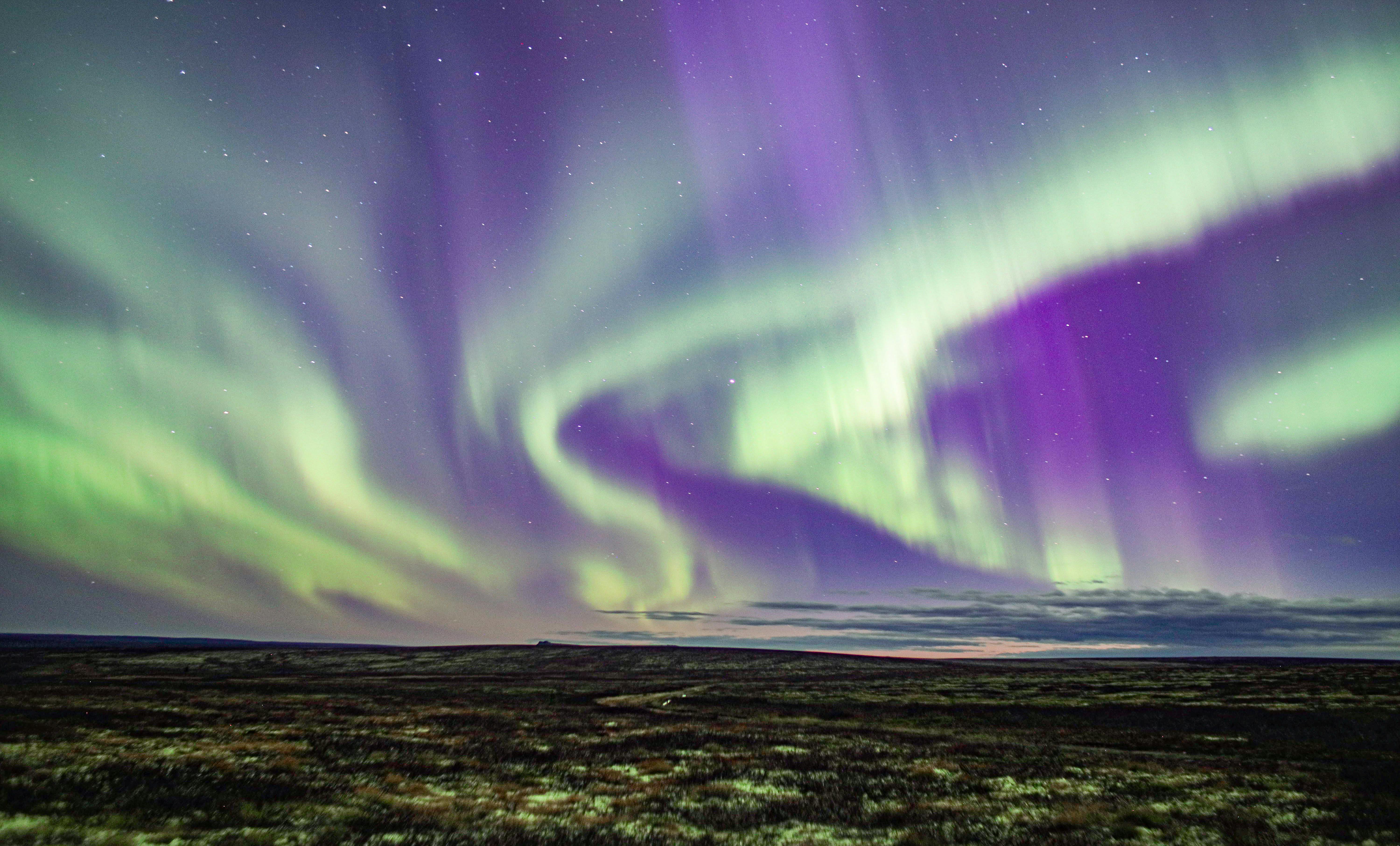 Vivid Northern Lights illuminating the night sky with vibrant purple and green hues over a vast landscape.