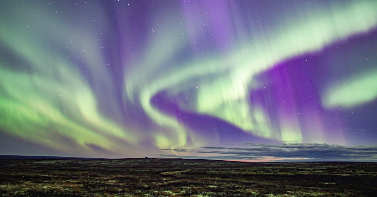 政治:高雄綠營初選提前升溫 英蘇連線硬撼新系對決完美風暴