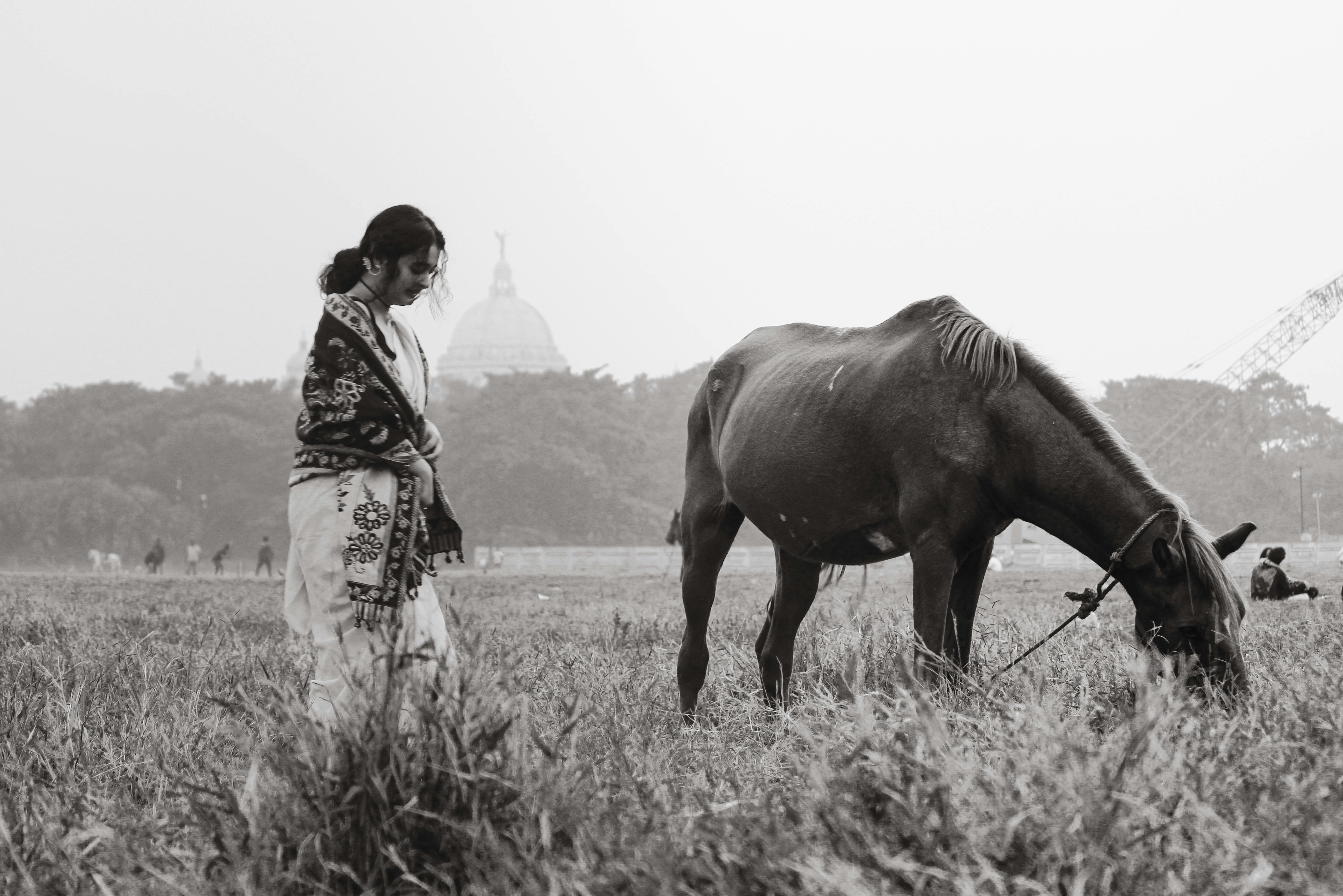 Free stock photo of 4k portraits, artist portrait photography, landscape architecture