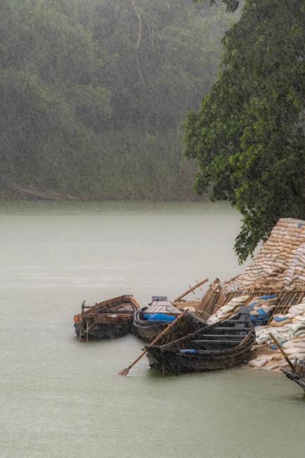 Site icon