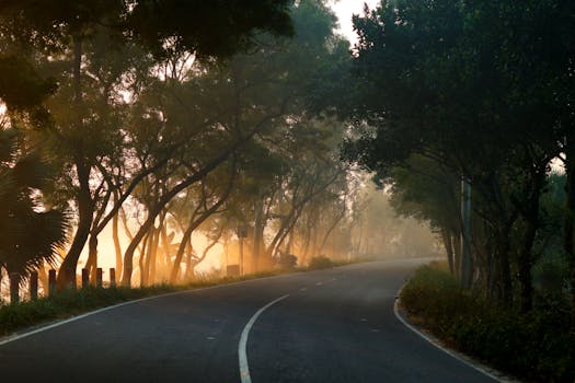 Free stock photo of 4k bangladesh village view, adventure, ambient