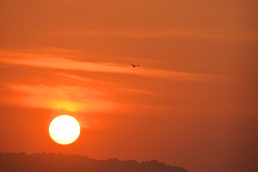 Stunning sunrise view with silhouette of a bird flying, captured in Mumbai's scenic sky.