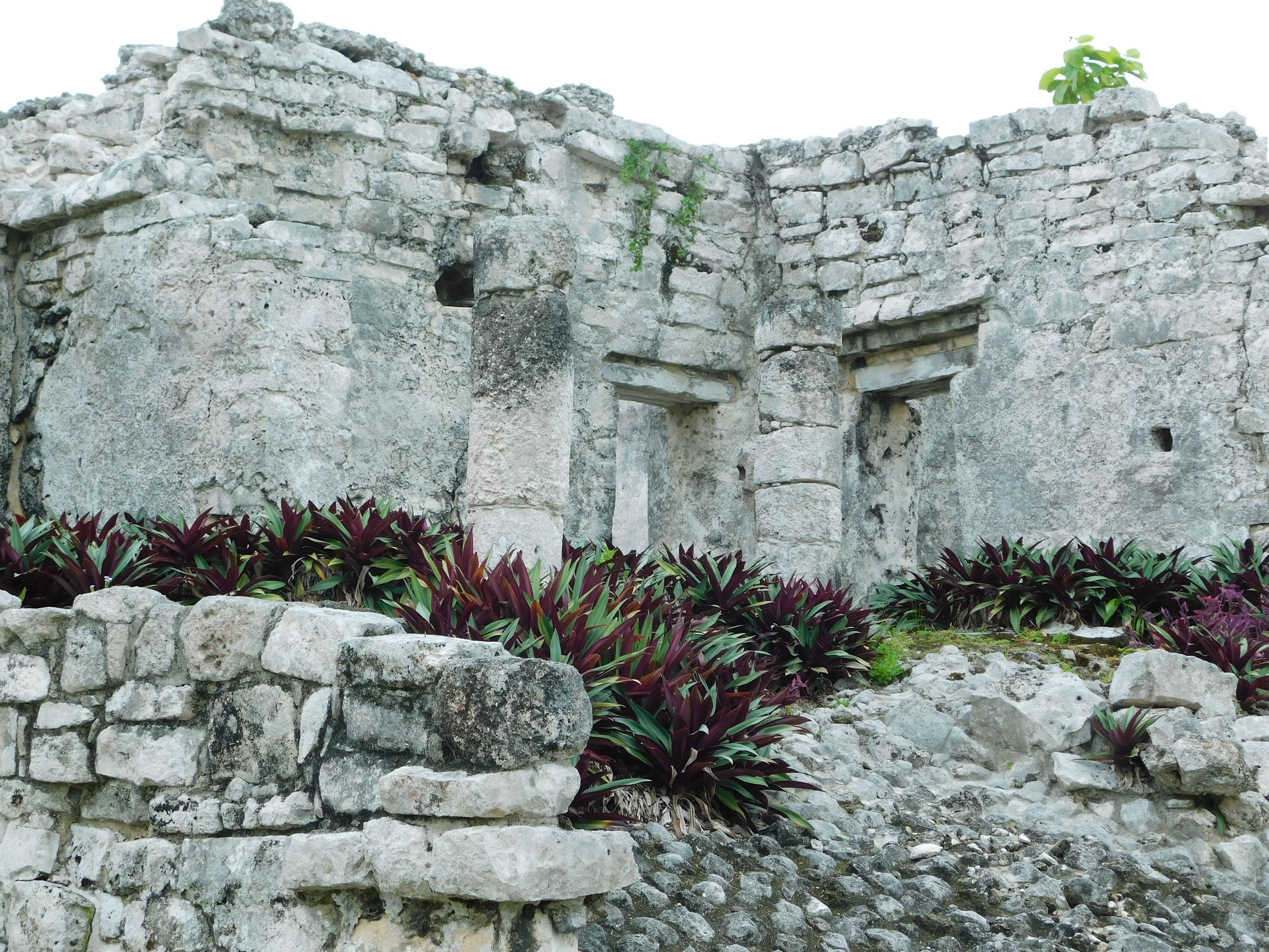 Ancient Stone Ruins with Vibrant Foliage · Free Stock Photo