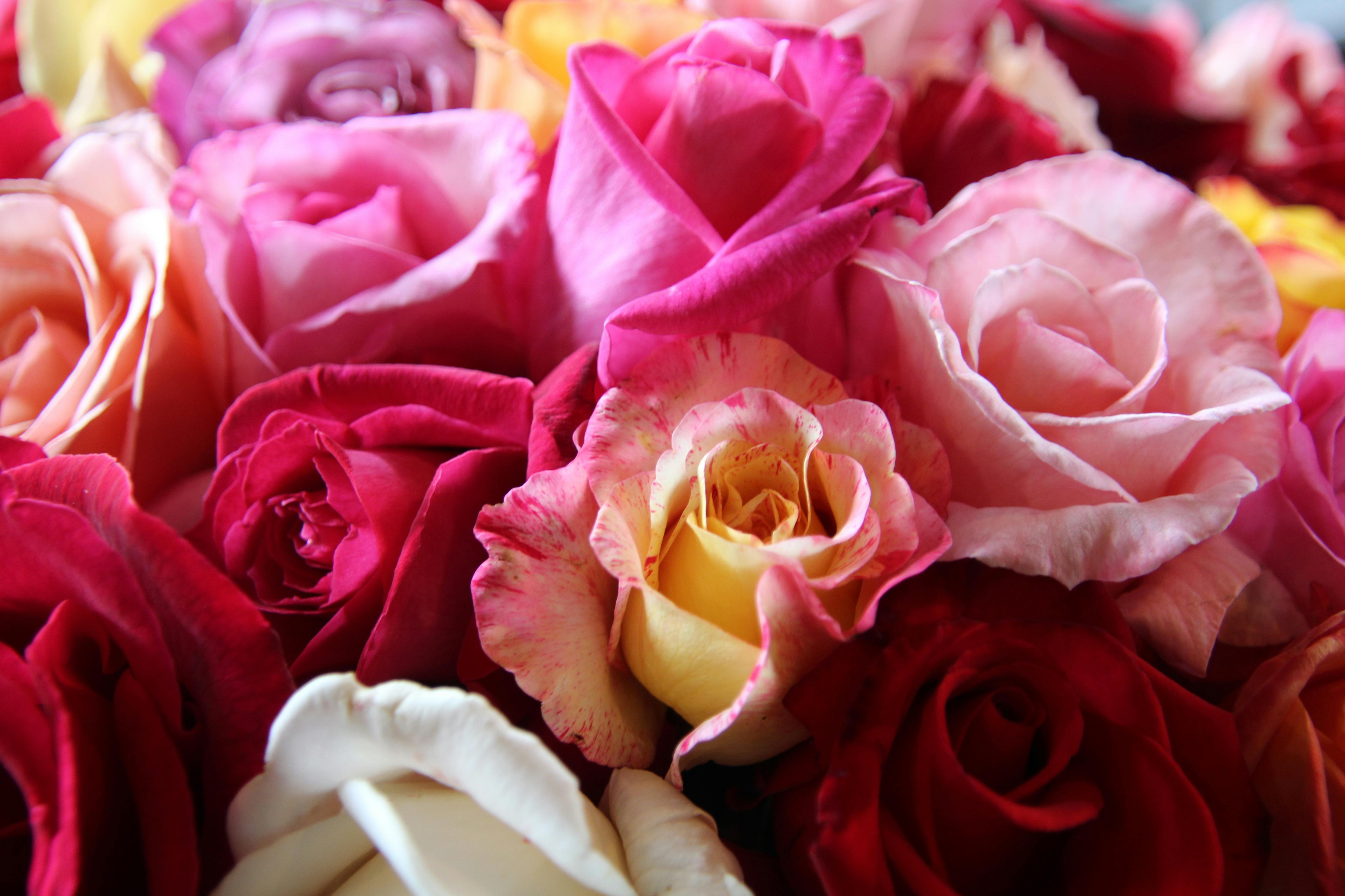 生活：2025年股東紀念品投資術大揭密：每年被動收入輕鬆到手