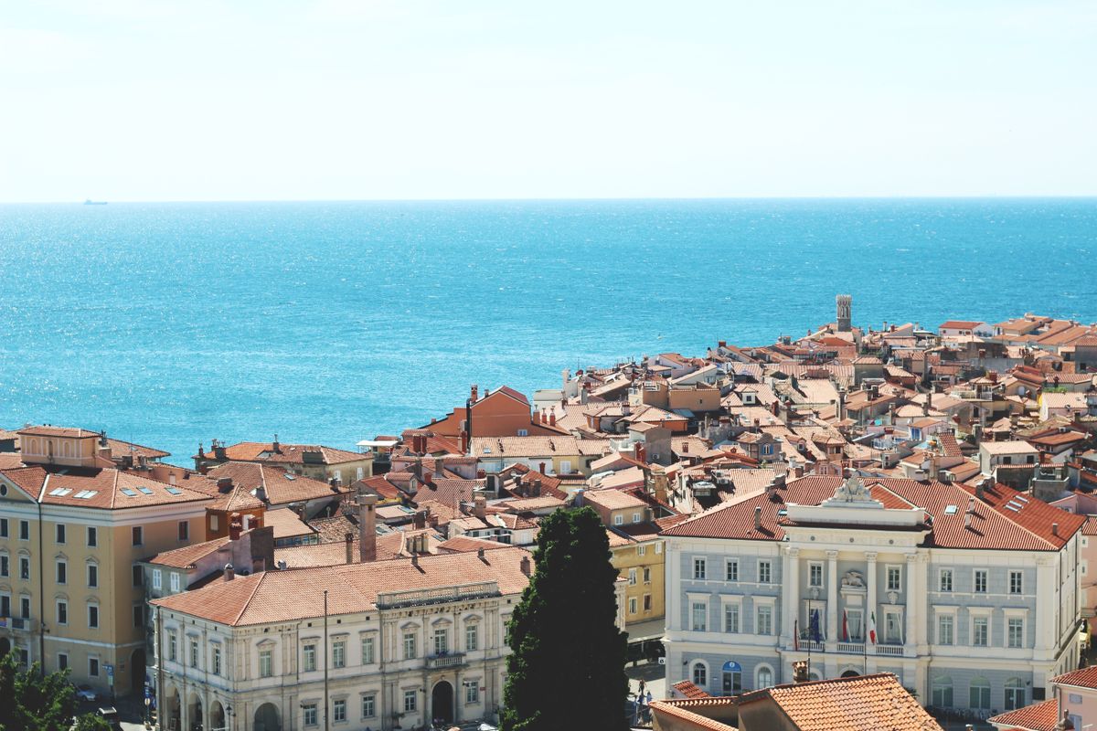 Acoperișurile de teracotă ale Piranului, cu Marea Adriatică în fundal