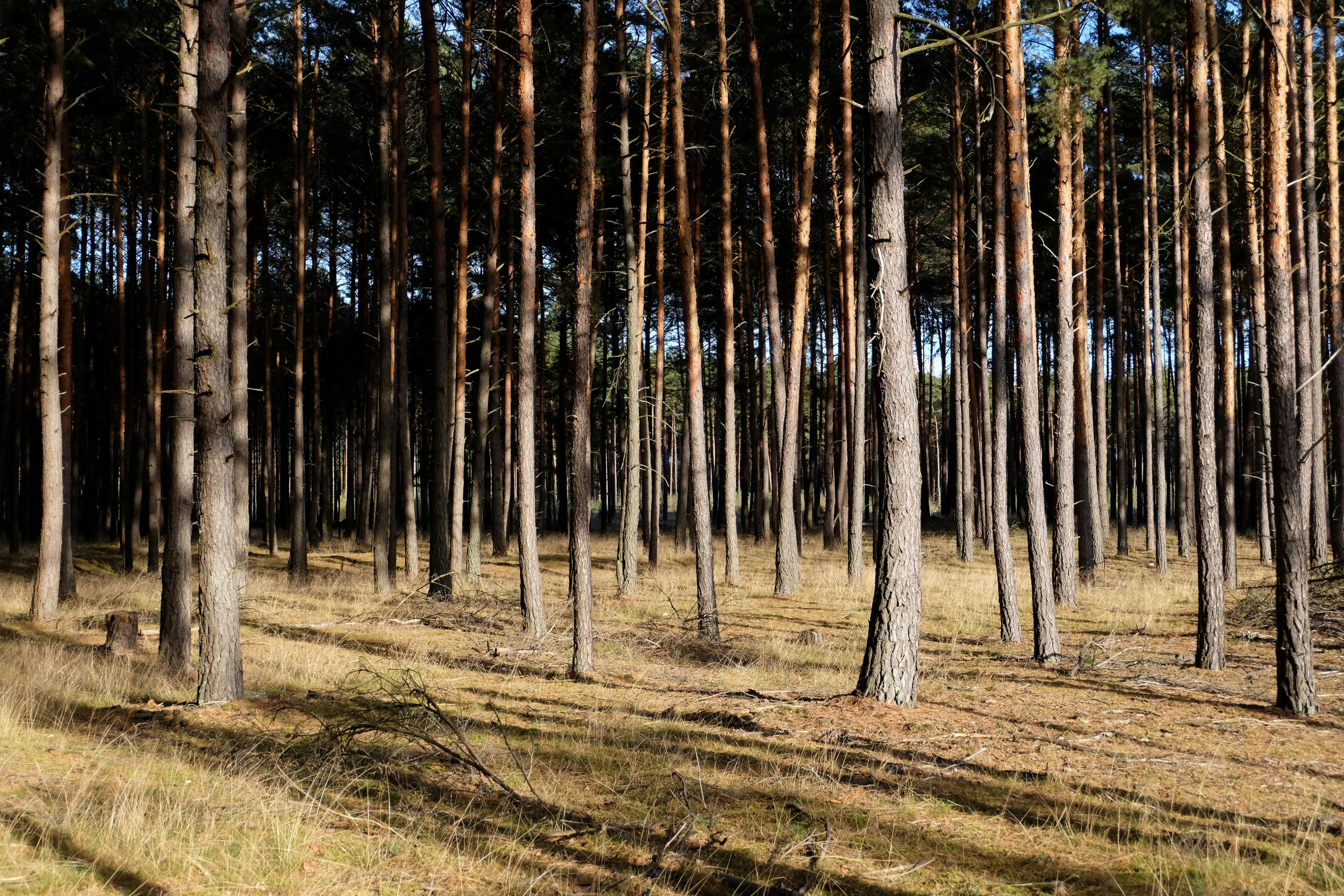 教宗訪黎巴嫩 呼籲政治領袖放下分歧促和平