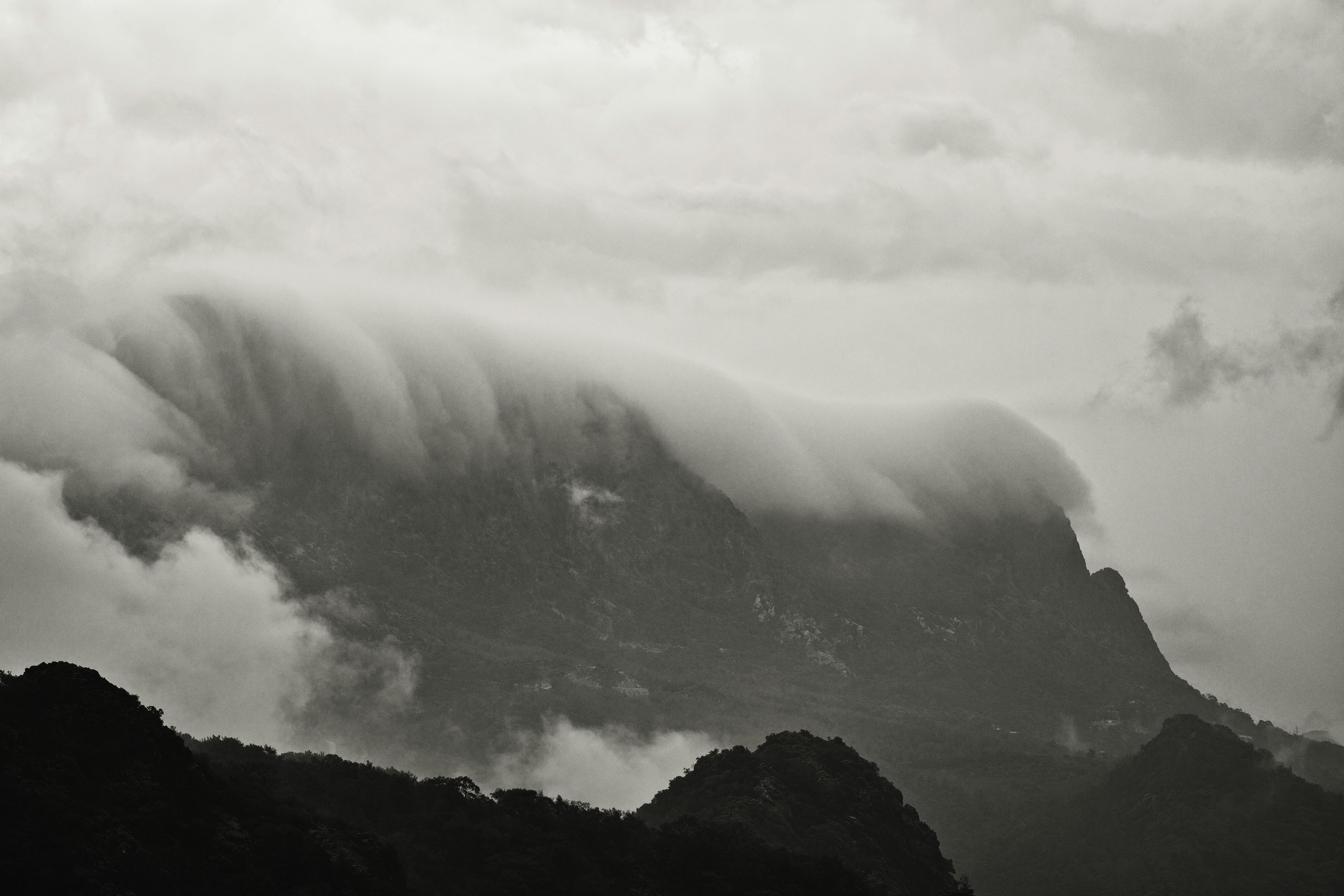 政治：高雄綠營初選提前升溫 英蘇連線硬撼新系對決完美風暴