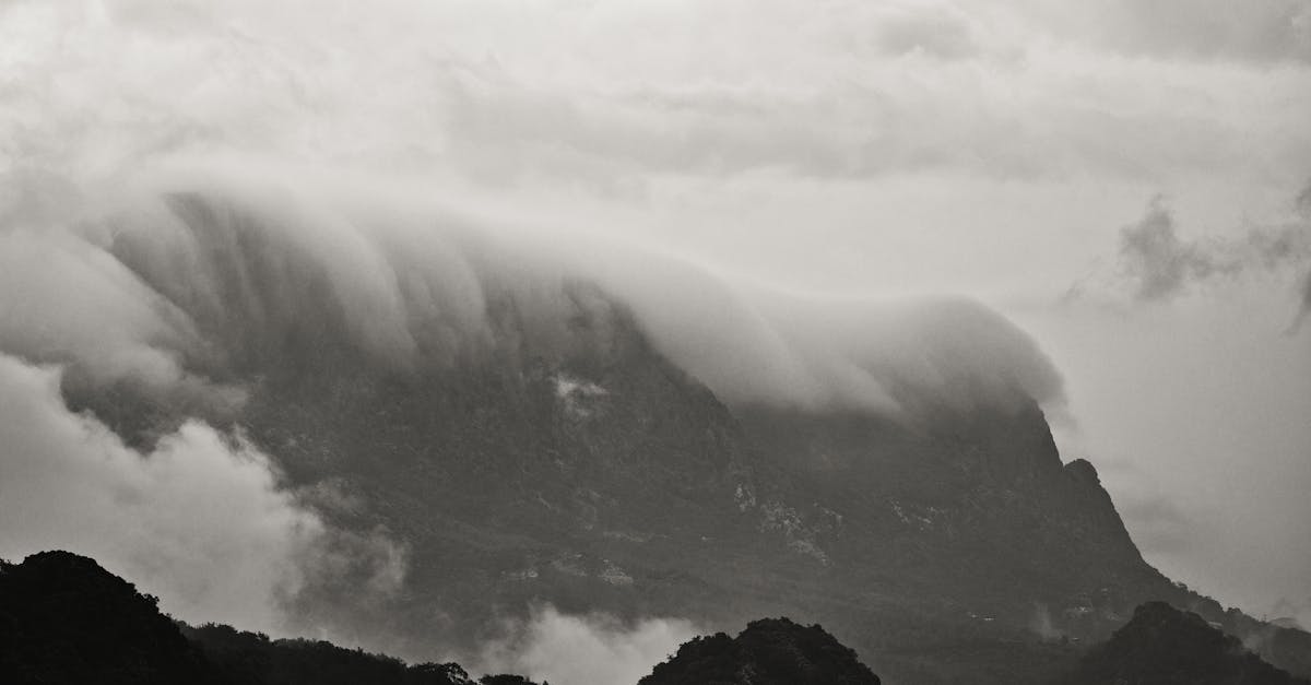 政治:高雄綠營初選提前升溫 英蘇連線硬撼新系對決完美風暴