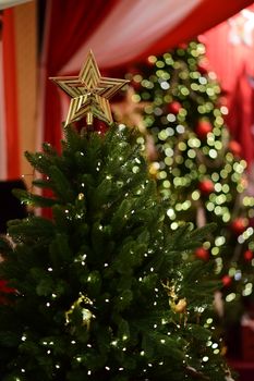 Decorated Christmas tree with star topper and twinkling lights in a festive indoor setting.