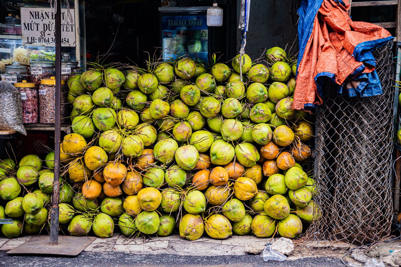 Fresh green coconuts in Vietnam