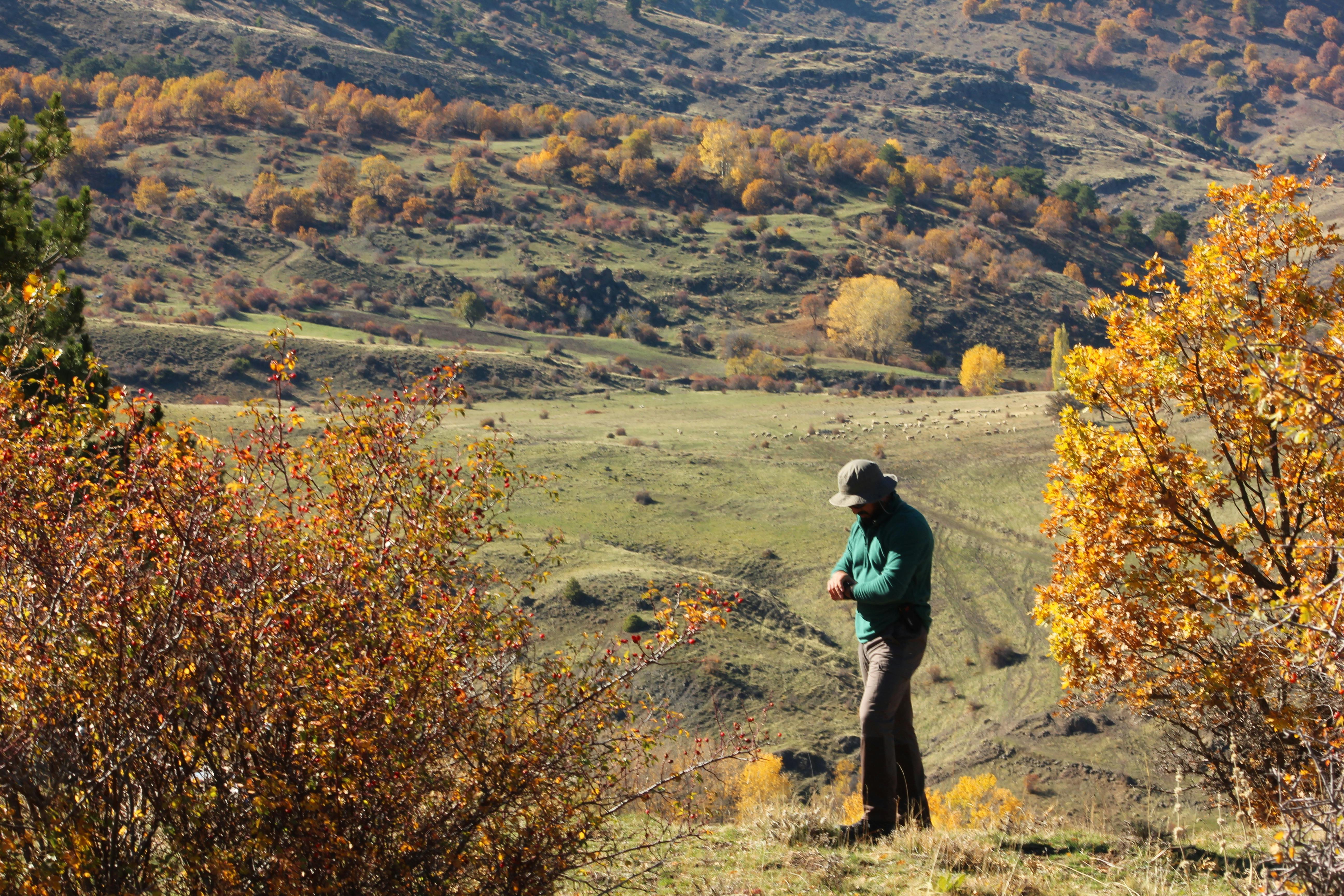 教宗訪黎巴嫩 呼籲政治領袖放下分歧促和平