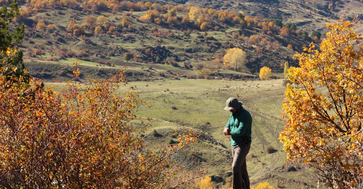 教宗訪黎巴嫩 呼籲政治領袖放下分歧促和平