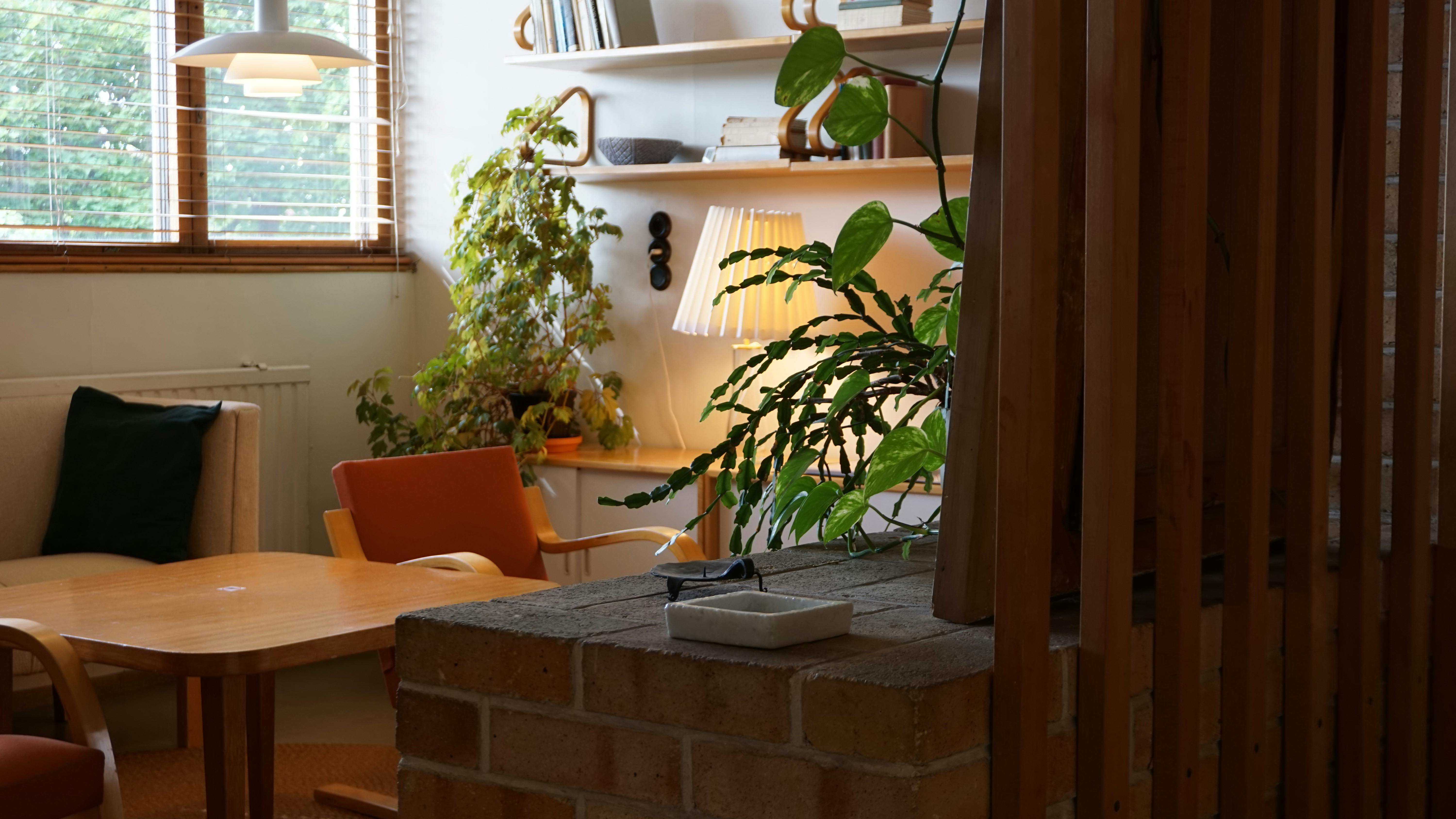 Moderne Wohnzimmer-Akzentwand mit vertikalen Holzlamellen in warmem Eichen-Ton neben TV-Bereich