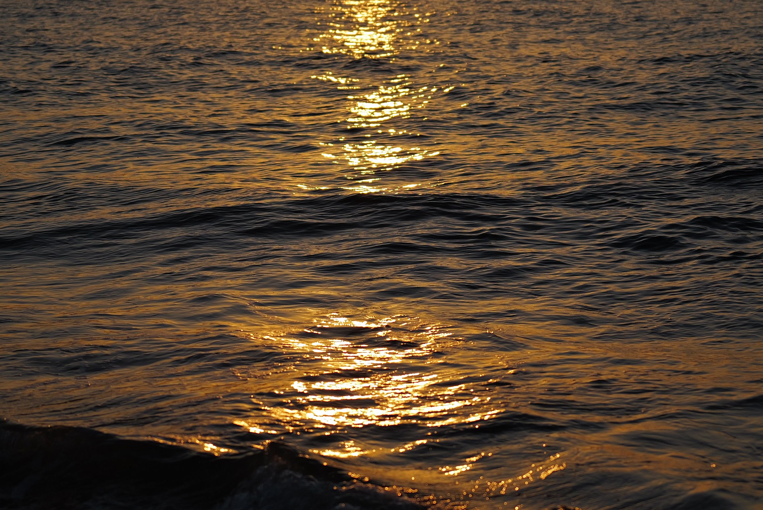 Golden Sunset Reflection on Tranquil Sea · Free Stock Photo