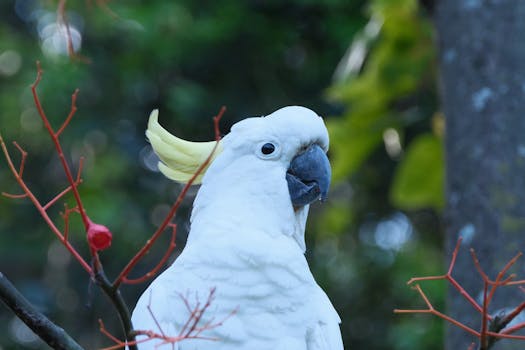 Photo by Walter Coppola